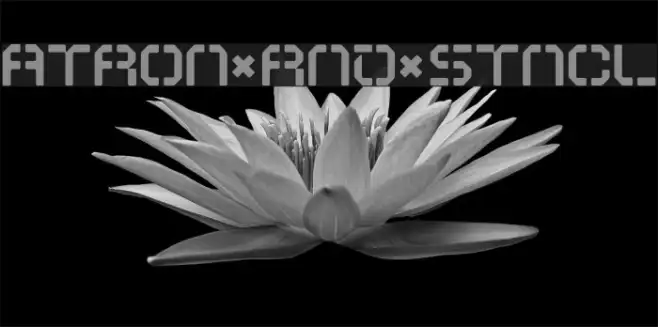 ATRON*RND*STNCL Example 1