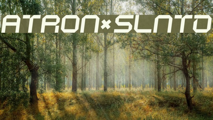 ATRON*SLNTD Font examples