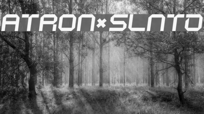 ATRON*SLNTD Example 1