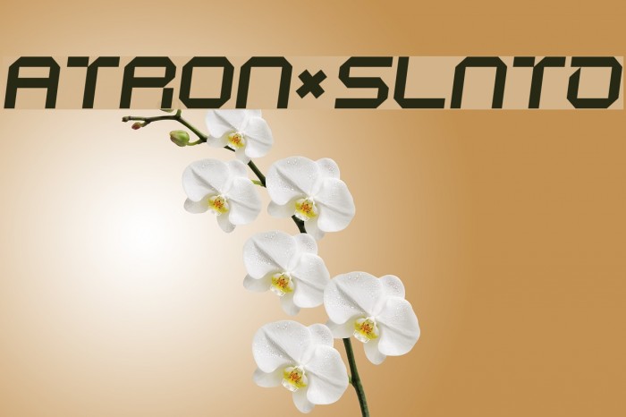 ATRON*SLNTD Font examples