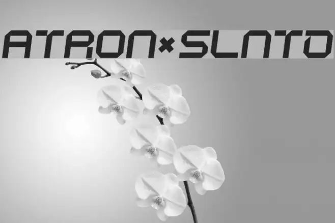 ATRON*SLNTD Example 2