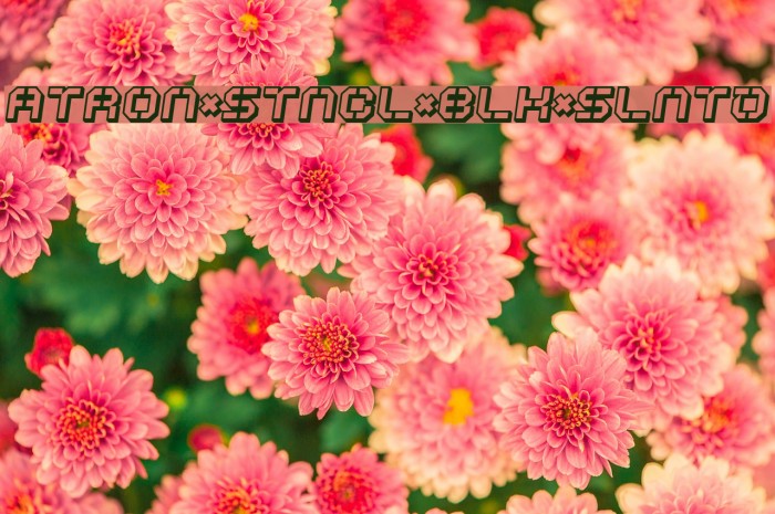 ATRON*STNCL*BLK*SLNTD Font examples
