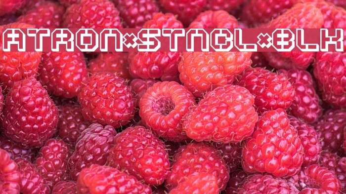 ATRON*STNCL*BLK Font examples