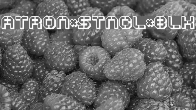 ATRON*STNCL*BLK Example 1