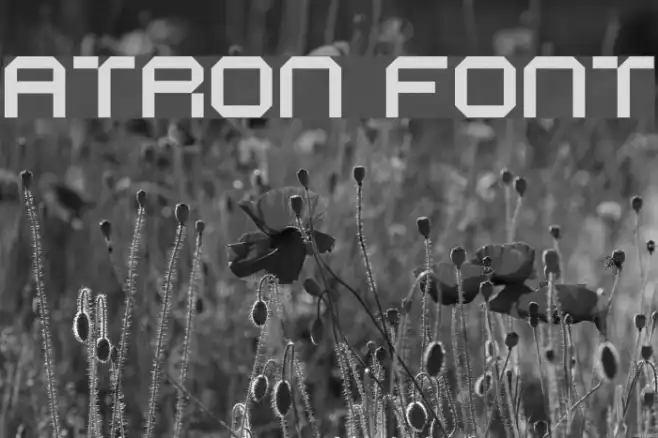 ATRON Example 2