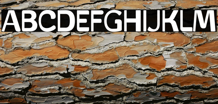 ATTACK MOLENS Example 3