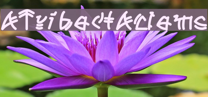 ATribeofAclems Font examples