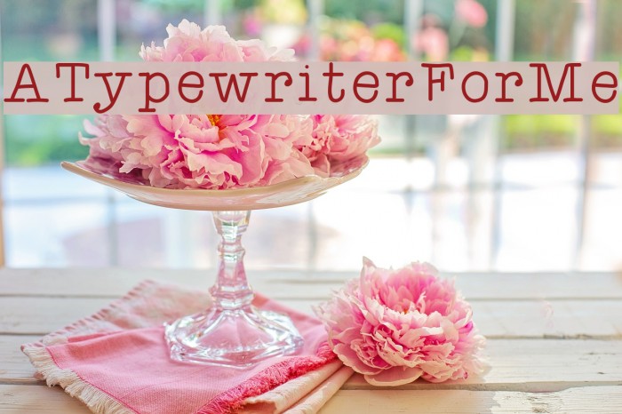 ATypewriterForMe Font examples
