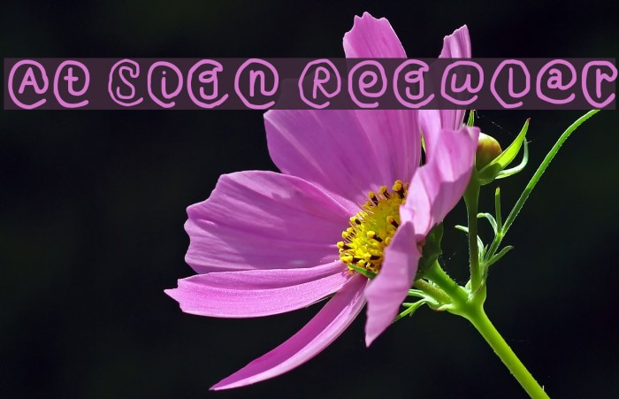 At Sign Regular Шрифта examples