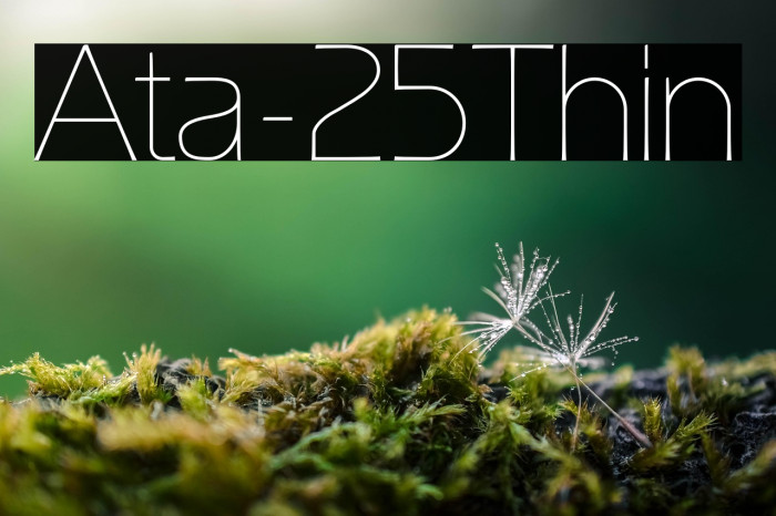 Ata-25Thin Example 1