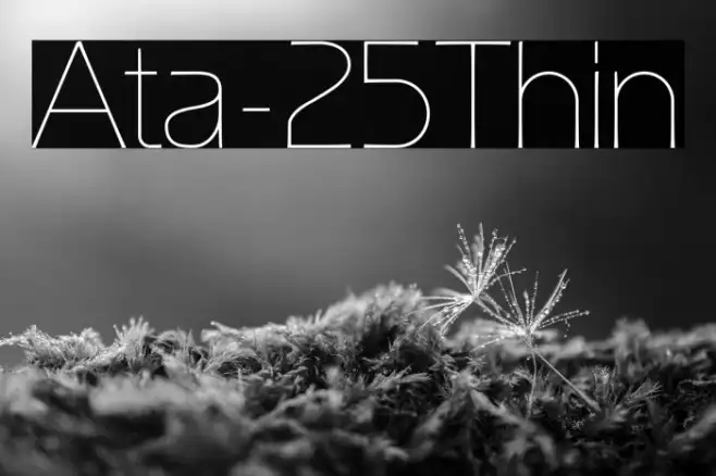 Ata-25Thin Example 1