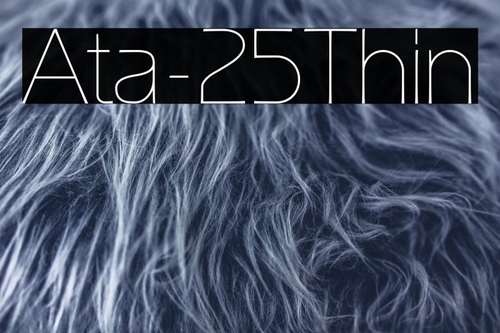 Ata-25Thin Example 2