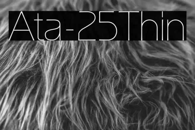 Ata-25Thin Example 2