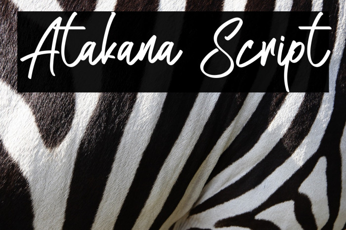 Atakana Script Example 1