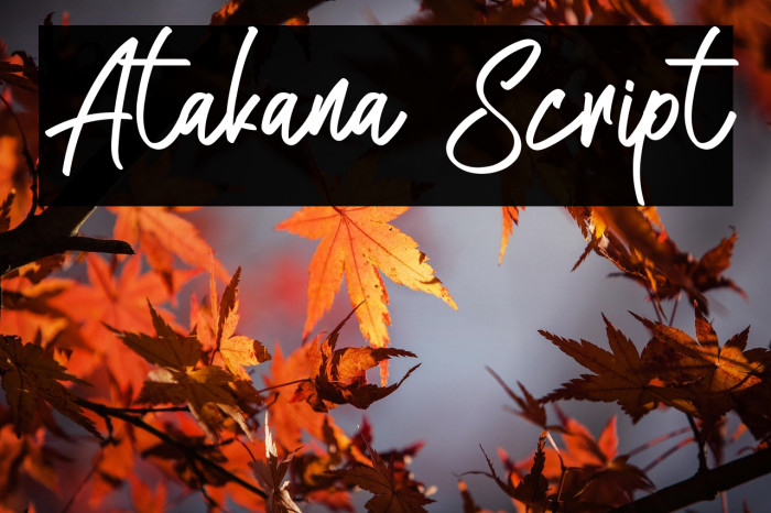 Atakana Script Example 2