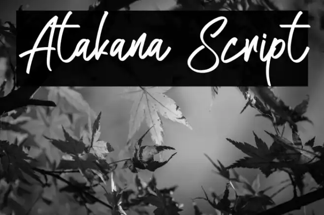 Atakana Script Example 2
