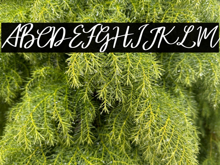 AtalintarFREE Example 1