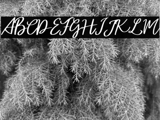 AtalintarFREE Font examples