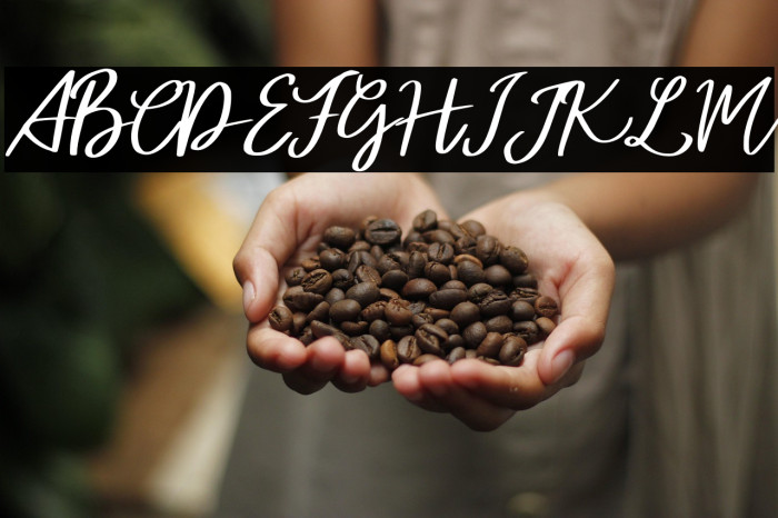 AtalintarFREE Example 3