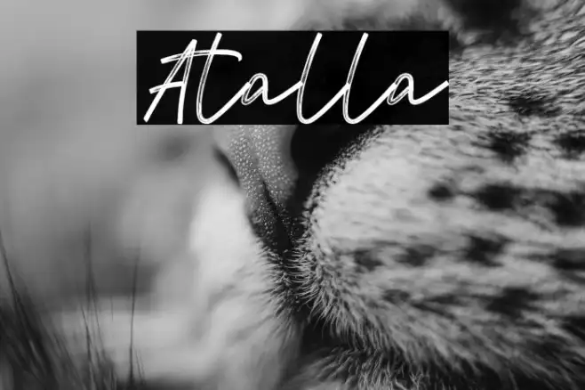 Atalla Example 3