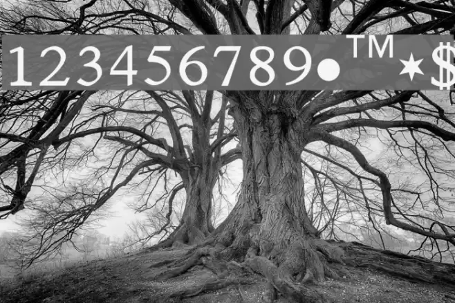 AtamGurmukhi Font examples