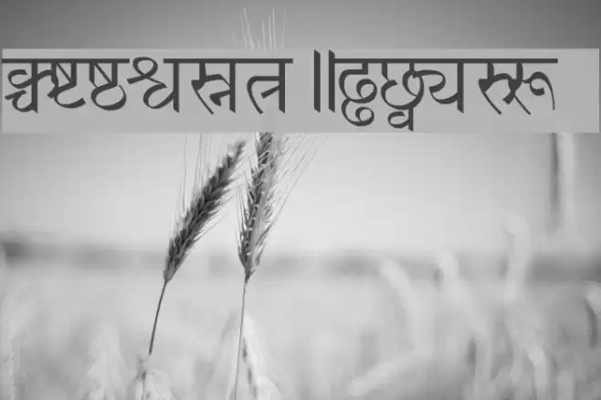 AtamHindi Font examples