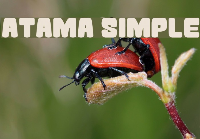 Atama Simple Font examples