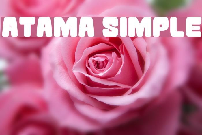 Atama Simple Polices examples