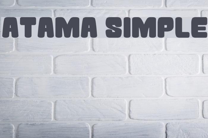 Atama Simple Polices examples