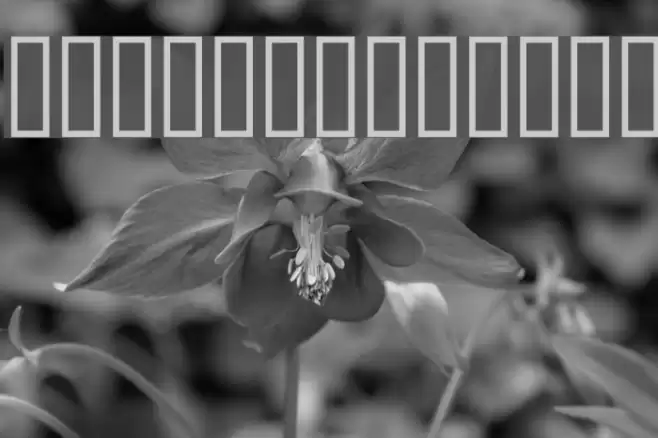 Ataques Font examples