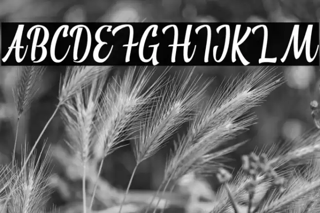 Atarashi Font examples