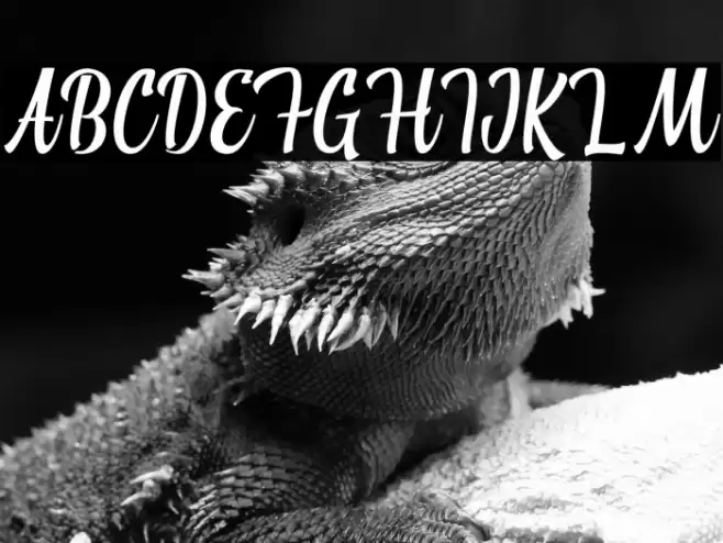 Atarashi Font examples