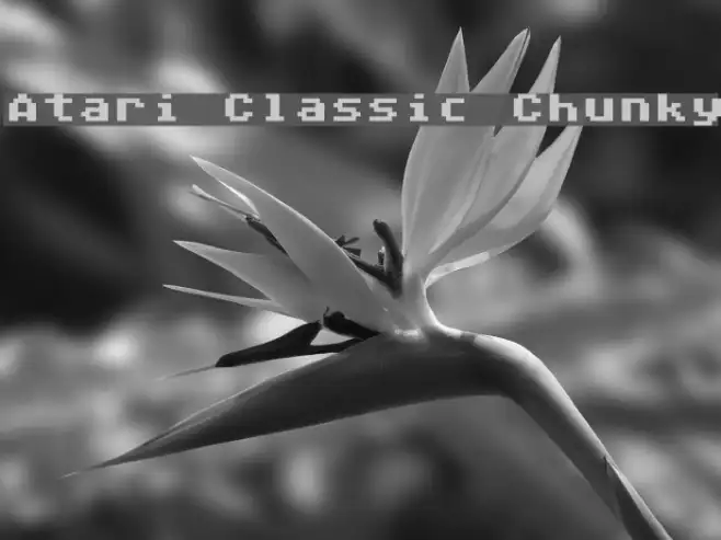 Atari Classic Chunky Example 3