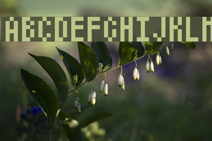Atari Small Font examples