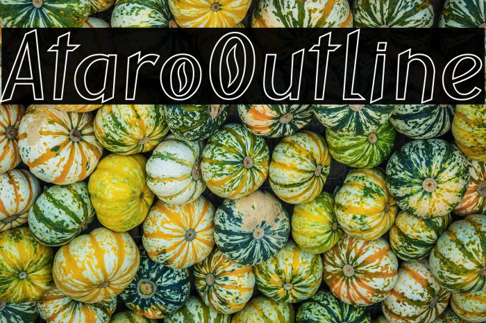 AtaroOutline Example 1