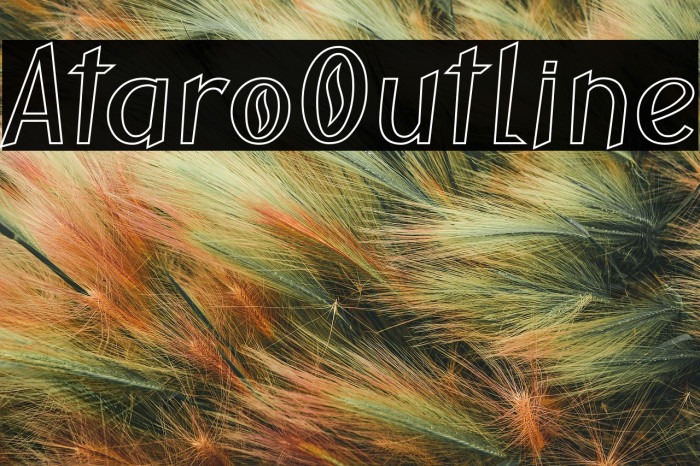 AtaroOutline Example 2