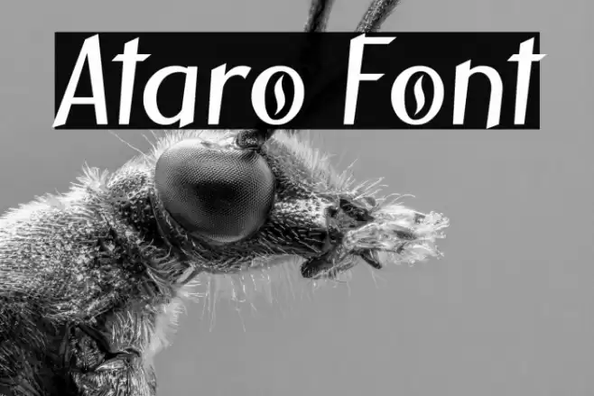 Ataro फ़ॉन्ट examples