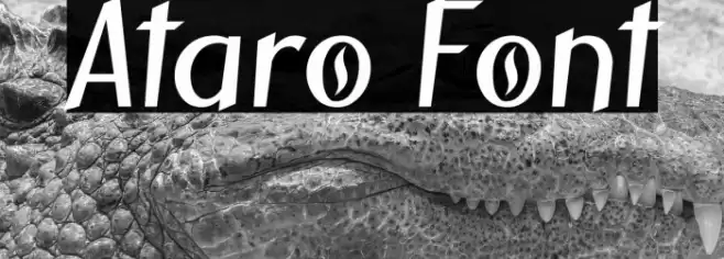 Ataro फ़ॉन्ट examples