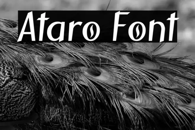 Ataro फ़ॉन्ट examples