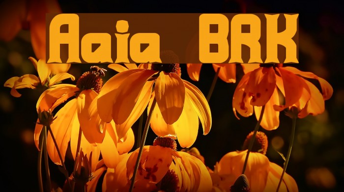 Ataxia [BRK] Example 1