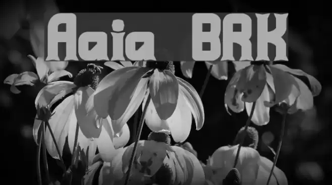 Ataxia [BRK] Font examples