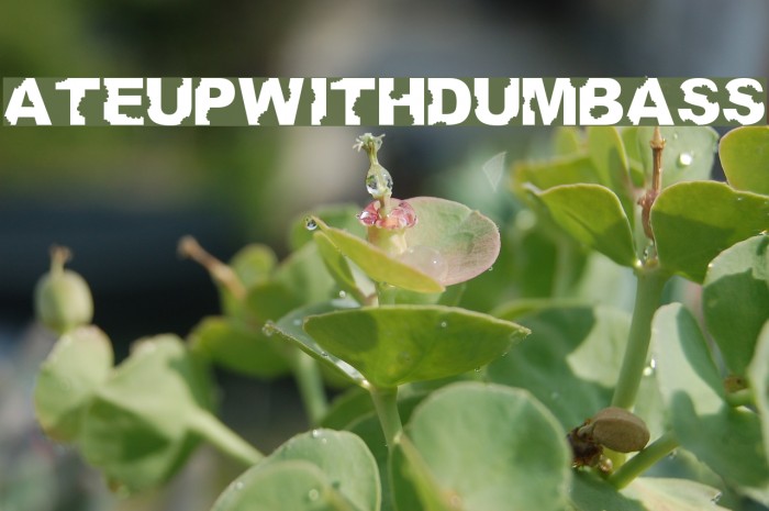 AteUpWithDumbAss Font examples