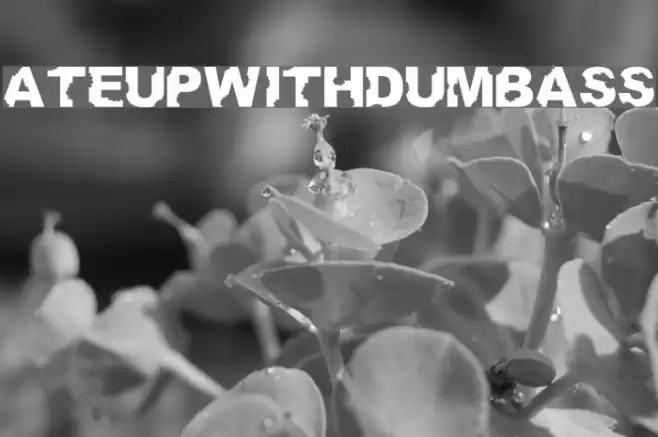 AteUpWithDumbAss Schriftart examples