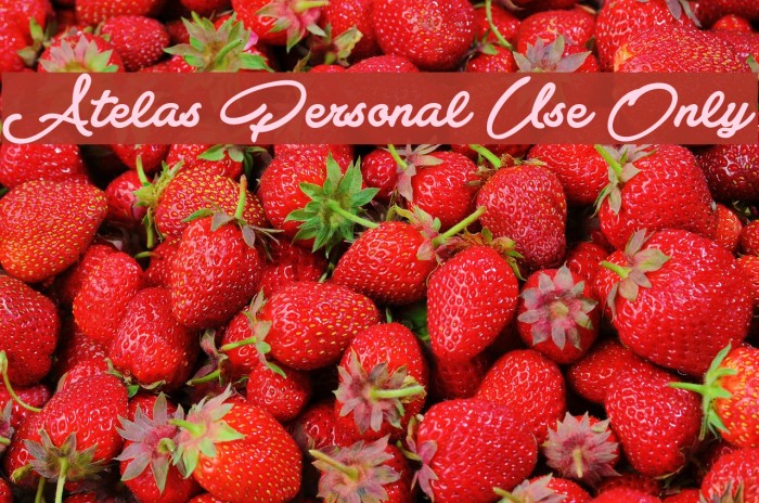 Atelas Personal Use Only Font examples