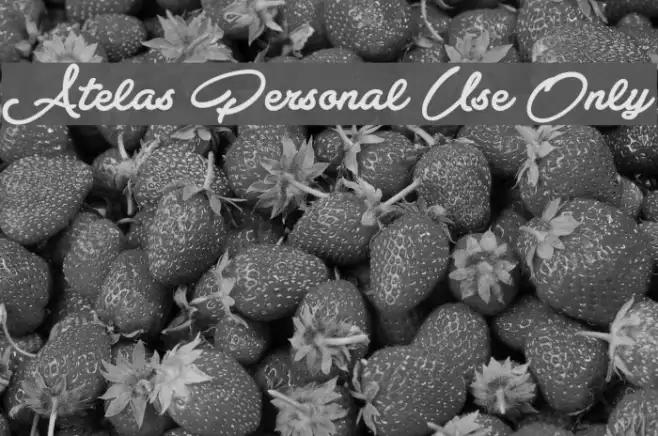 Atelas Personal Use Only Example 1
