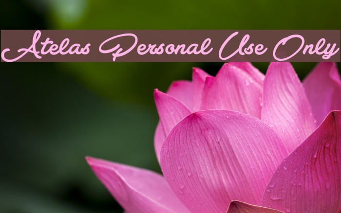 Atelas Personal Use Only Font examples