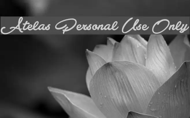 Atelas Personal Use Only Example 2