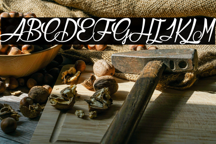 Atelier Omega_PersonalUseOnly Example 2