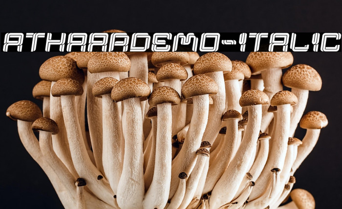 AthaarDemo-Italic Example 2