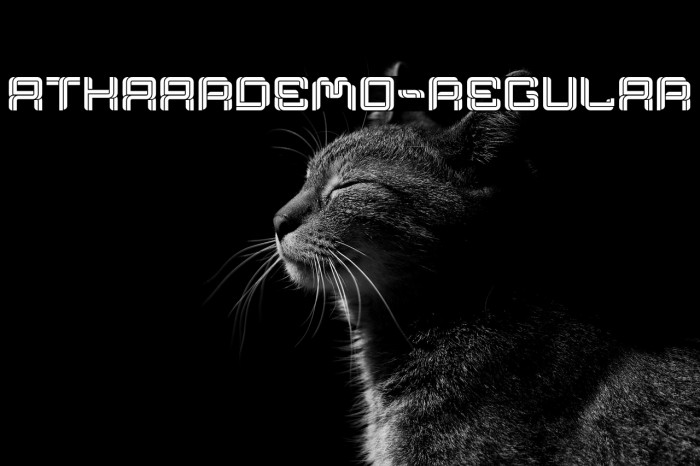 AthaarDemo-Regular Example 2